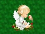 angelbird.jpg