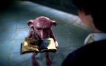 dobby-and-sock.jpg