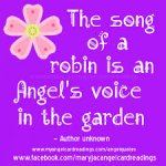 angels (2).jpg