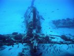 Corsair fighter plane, Hawaii.jpg