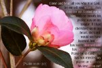 god-answers-prayer-psalm-66-verses-16-to-20.jpg