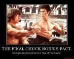 2069707-the_final_chuck_norris_fact_bruce_lee_chuck_norris_demotivational_poster_1259789703.jpg