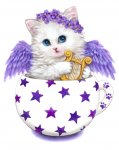 kitty angel.jpg