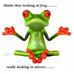 froggie01.jpg