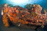 Japanese fishing wreck, Bali.jpg