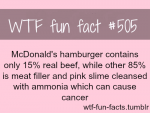 pink slime.png