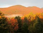 mountain foliage.jpg