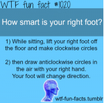 smart foot.png