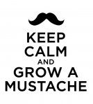 grow a mustache.jpg