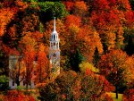 fall-in-vermont.jpg