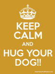 hug your dog.png