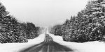 VT. State Highway.jpg