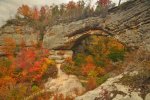 2012_october_ky_fall-leaves-235-natural-bridge.jpg