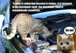 cat_mechanic.jpg