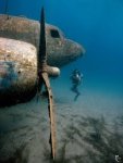 plane & propeller.jpg