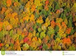 aerial-view-fall-foliage-vermont-stowe-usa-31228577.jpg