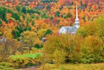 church foliage.jpg