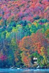 foliage on lake.jpg