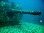 0823 - AUS - Mooloolaba - diving the wreck of the HMAS Brisbane.jpg