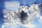 angel feather.jpg