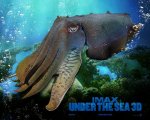 giant octopus.jpg