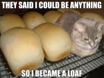 cat bread loaf.jpg