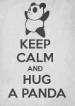 hug a panda.jpg