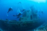 in the Red Sea.jpg