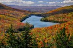 foliage around lake.jpg