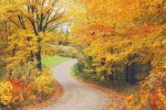 on a back road.jpg