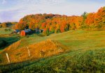 farmland foliage.jpg