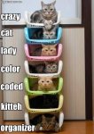 cat organizer.jpg