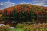fallcolorsnewyork.jpg