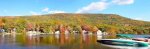 fall foliage (2).jpg