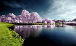 lake scene.jpg