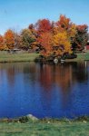 pond foliage.jpg