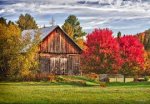 log cabin and foliage.jpg