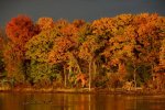 Lake Champlain (2).jpg