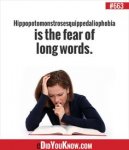 fear of words.jpg
