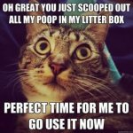 mess up litterbox.jpg