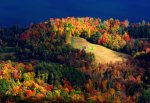 lake-elmore-foliage1.jpg