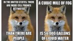 fox fact.jpg