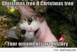 ornaments are history.jpg