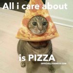 Pizza Cat.jpg