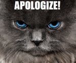 APOLOGIZE.jpg