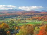 mountain foliage (2).jpg