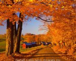 near South Woodstock.jpg