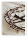 thorns and nails.jpg
