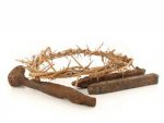 spikes and crown of thorns.jpg