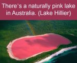 pink lake.jpg